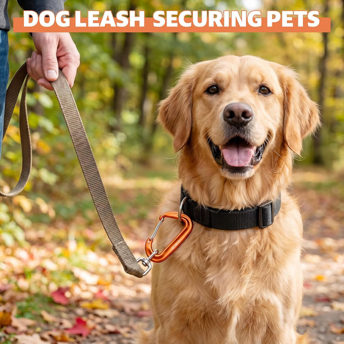 Carabiner Clips Heavy Duty 12Kn (2697 Lbs)-Lightweight Locking Carabiners for Camping, Hiking, Hammock, Dog Leash Harness, Outdoor and Gym Etc, Keychains& Utility
